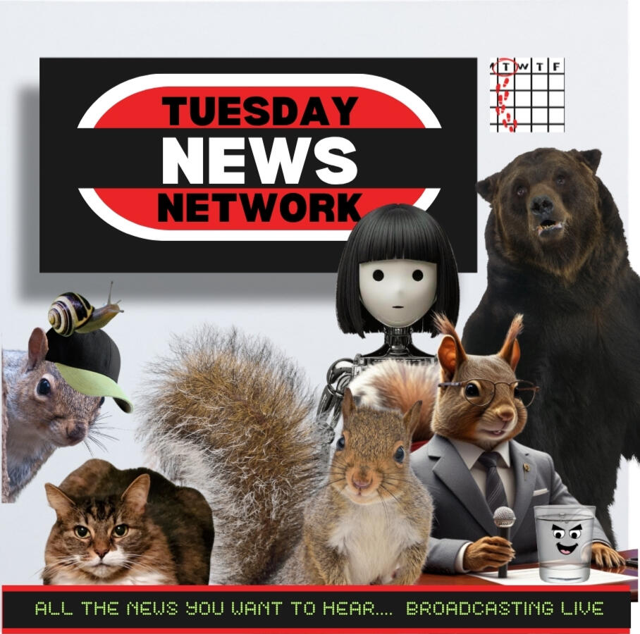 Tuesday News Network: All the news you want to hear.